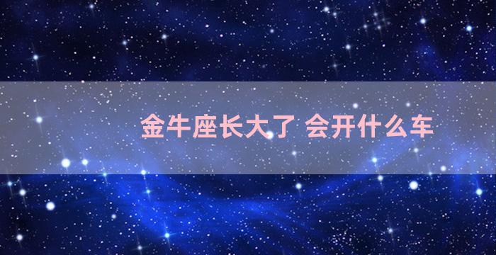 金牛座长大了 会开什么车